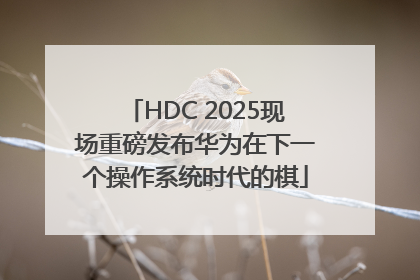 HDC 2025现场重磅发布华为在下一个操作系统时代的棋
