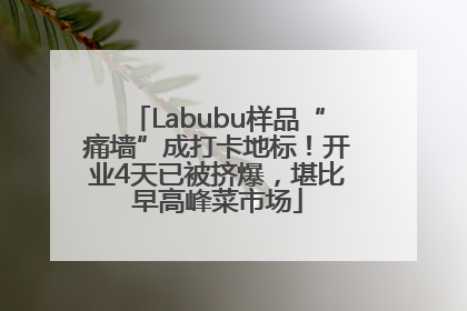 Labubu样品“痛墙”成打卡地标！开业4天已被挤爆，堪比早高峰菜市场